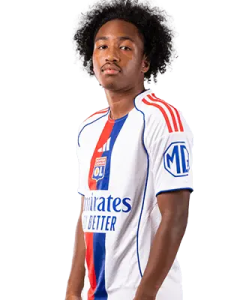 马利克・福法纳