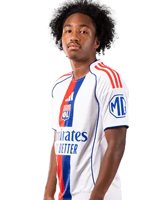 马利克・福法纳