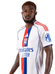 安斯利・梅特兰 – 奈尔斯