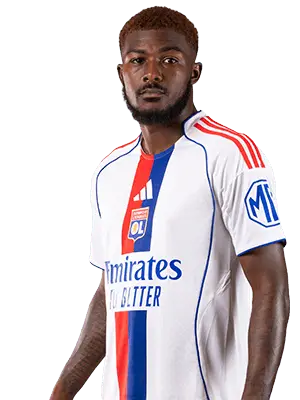 安斯利・梅特兰 – 奈尔斯